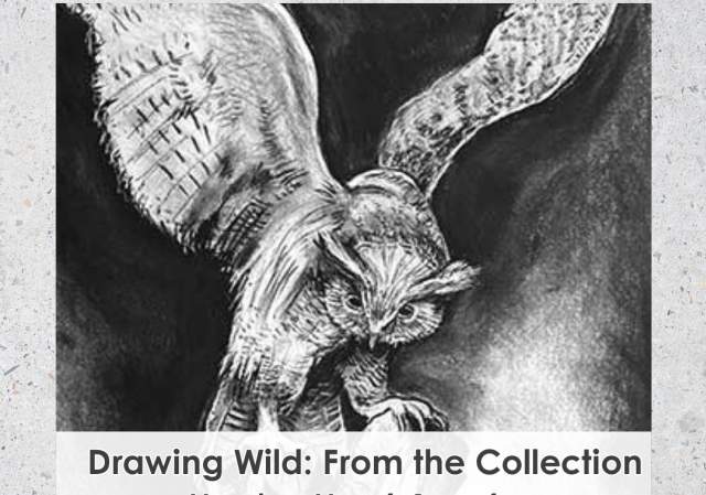 Drawing Wild - From the Collection