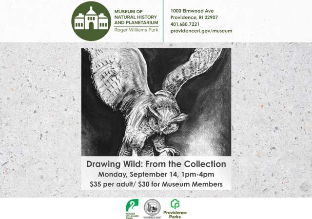 Drawing Wild - From the Collection