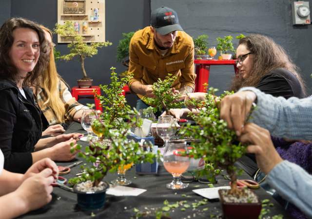 Bonsai Beginner Workshop at Rhode Island Spirits