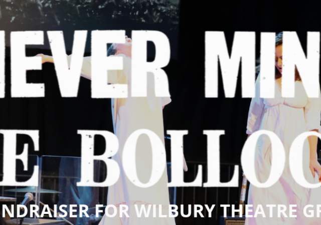 Never Mind The Bollocks: A Fundraiser For Wilbury Theatre Group
