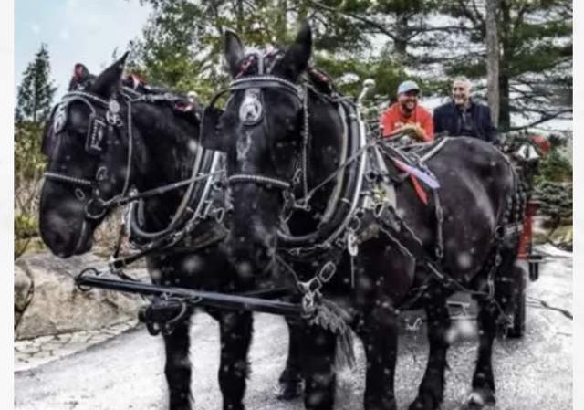 Holiday Brunch and Wagon Spectacular