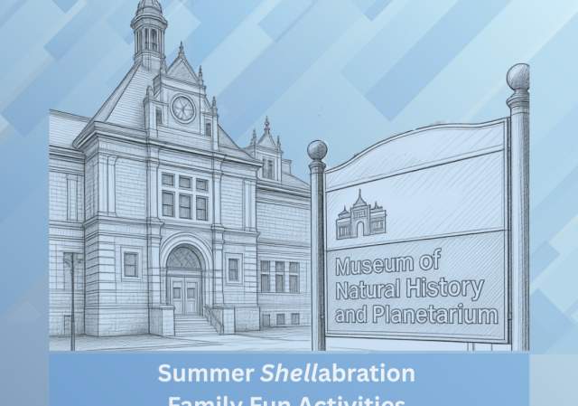 Summer Shellabration at the Museum of Natural History and Planetarium