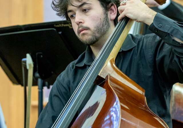 Warwick Symphony Orchestra: Americana
