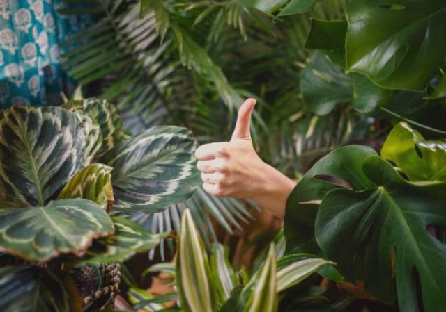 Bloom Flower & Home Market