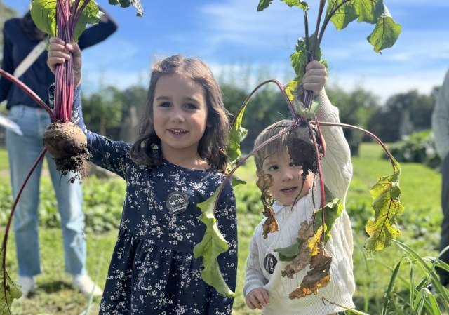 Harvest Festival