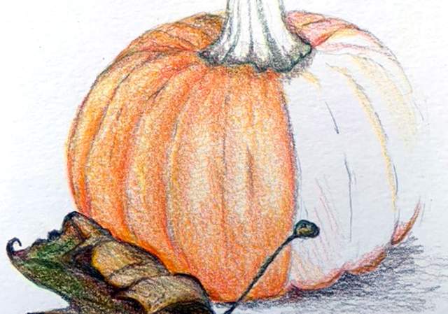 Nature Drawing at Blithewold