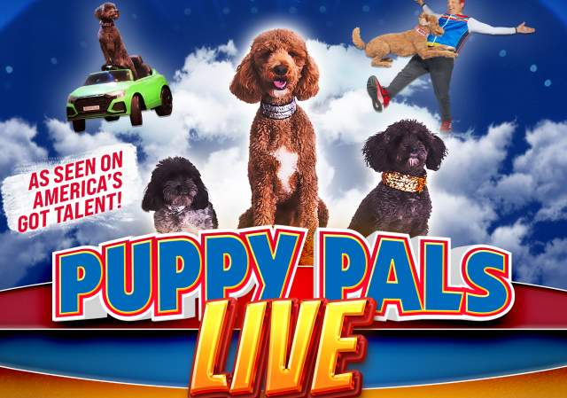 Puppy Pals LIVE - The Action-Packed Comedic Stunt Dog Show