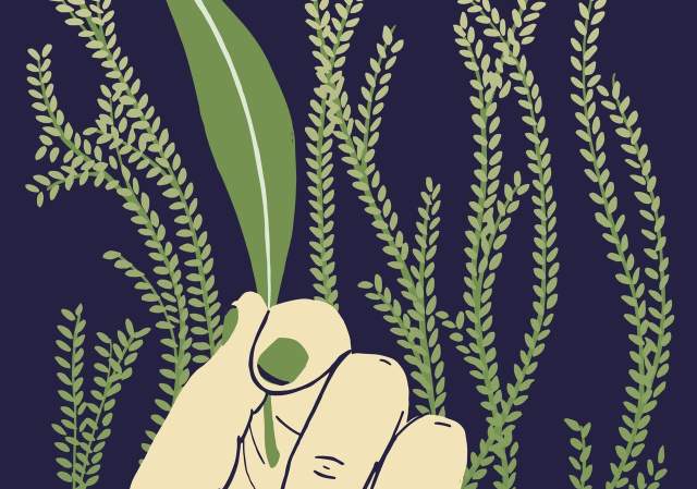 Someone Will Remember Us