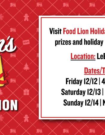 Food Lion Holiday Lane
