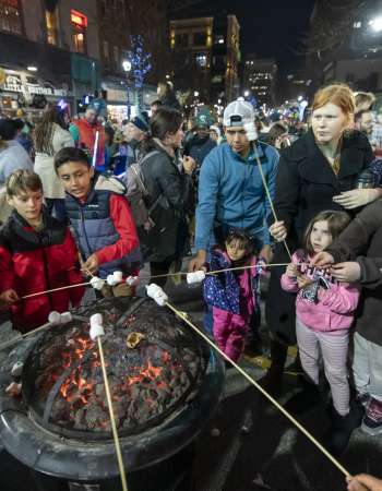 Roasting Marshmallows