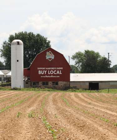 Buy Local Barn