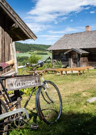 Prøysenstua sommer