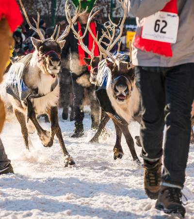 Running of the Reindeer at Anchorage Fur Rendezvous