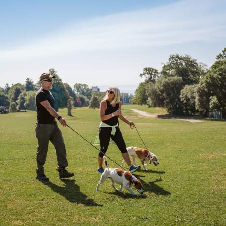 Couple walking two dogs in Singleton Park