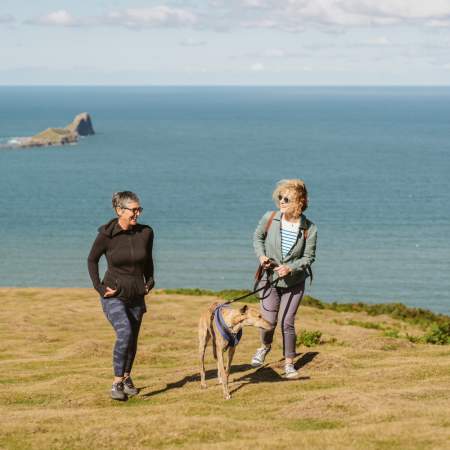 Couple walking their greyhound on coastline