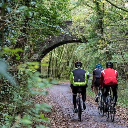 Three cyclists, cycling away from the camera, on a bike path surrounded by trees.
