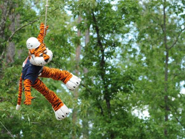 Aubie ziplining