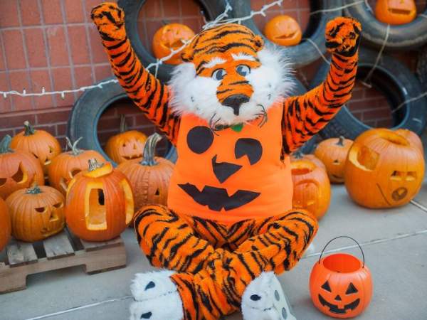 Aubie Halloween