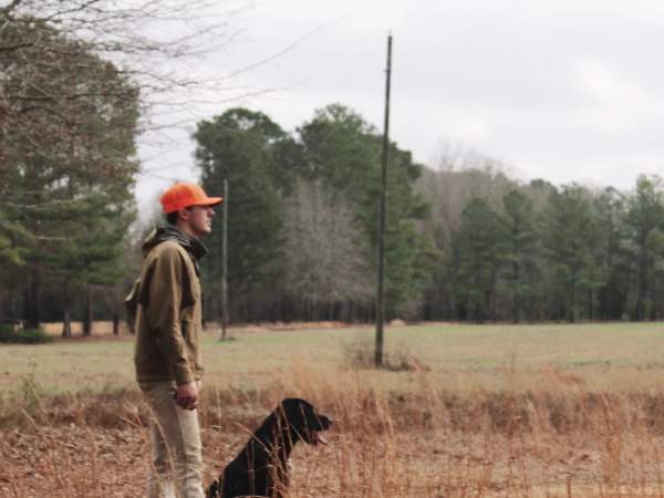Phesant Shooting Auburn Oaks