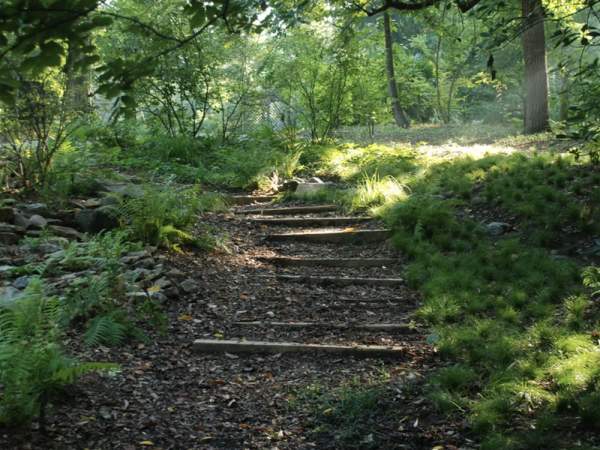 Donald E. Davis Arboretum