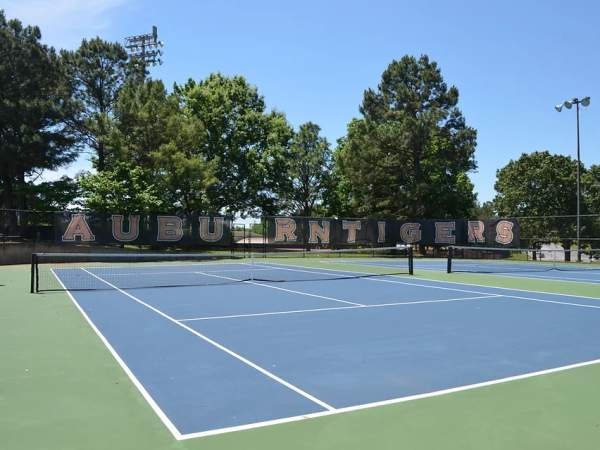 Thach and Hemlock Courts