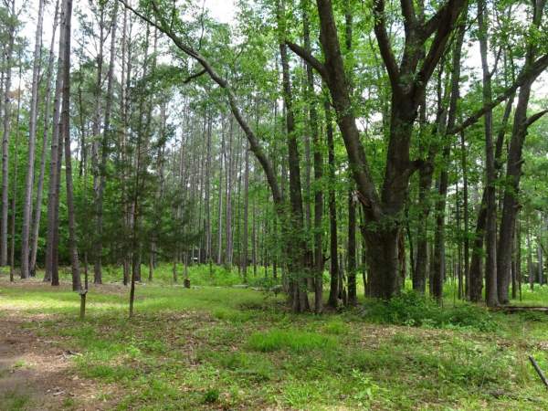 The Forest Kreher Preserve & Nature Center