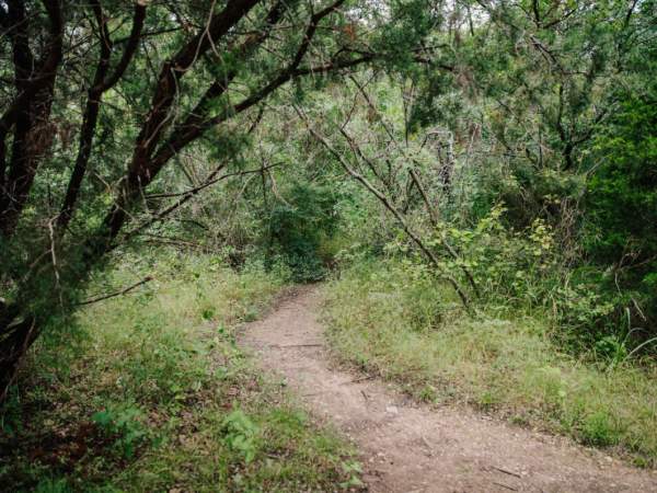 Cedar Mountain Nature Preserve
