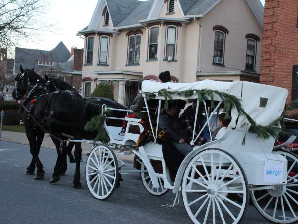 horses and carriage