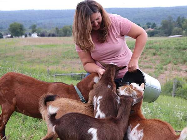 FTF Four Diamonds Ranch - feeding goats
