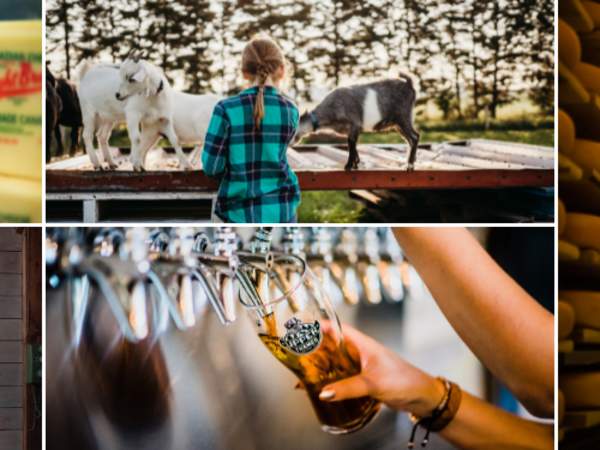 Barns, Brews & Bites