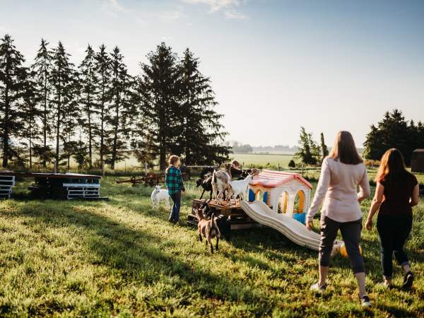 taste of farm life family friendly