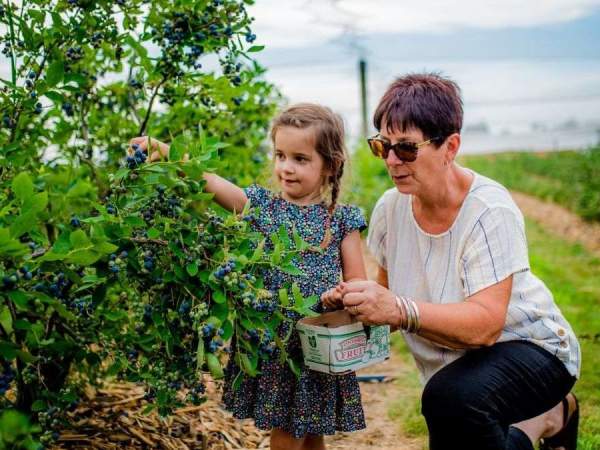 Fun Things to do with Grandchildren in Oxford County