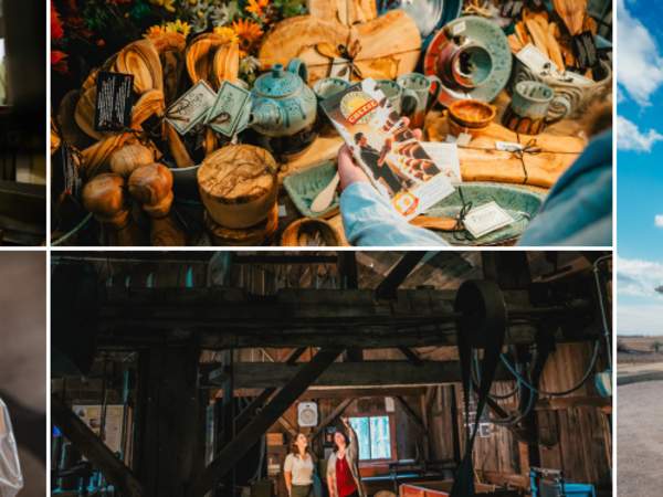 Cheese 101: Museum, Makers & More