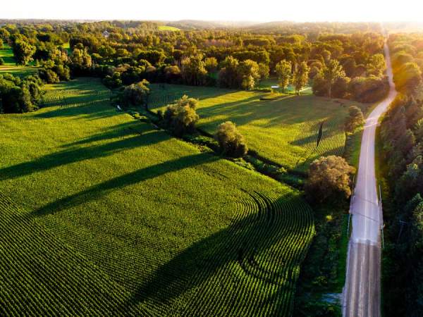 Road surrounded by nature