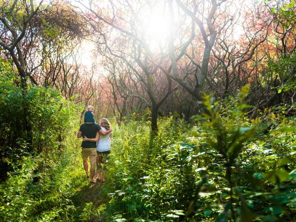Cheesy Family Fun Along the Trail