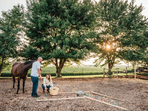 Dudek Photography (Transitions Equine)- 031 (1)