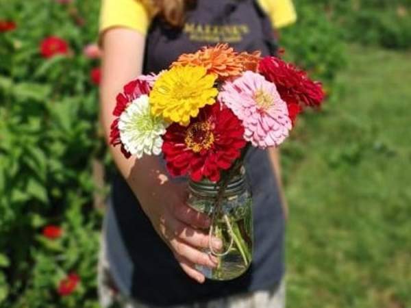 The Local Buzz Tour: Five Oxford Fresh stops within 24 minutes