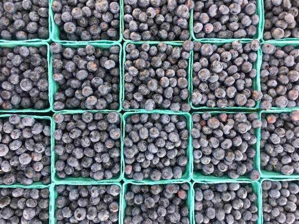 Blueberries