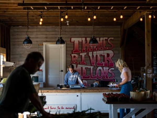 Thames River Melons: A Pick-Your-Own Paradise and Cozy Farm Market