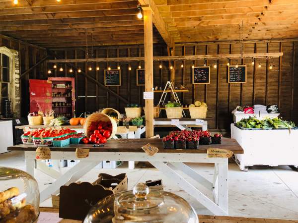 Thames River Melons: A Pick-Your-Own Paradise and Cozy Farm Market