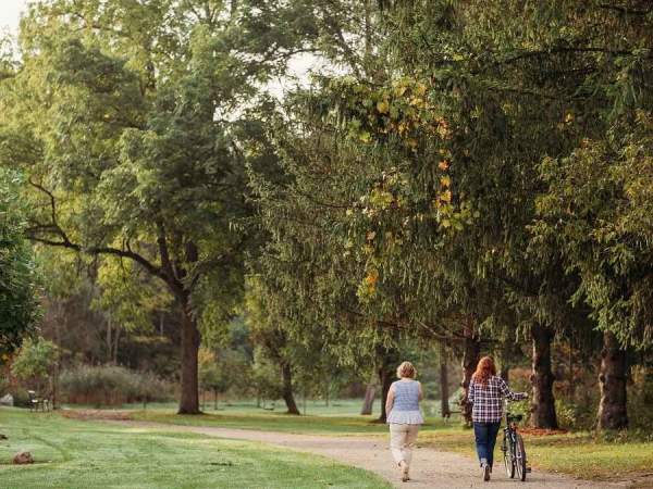 16 Things to do in Tillsonburg