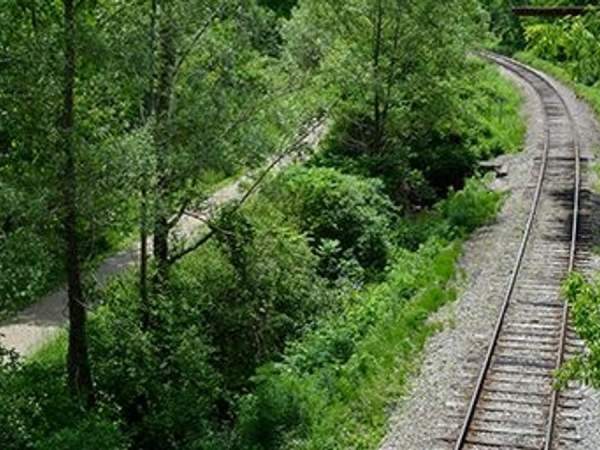 Active Families Will Love Spending a Summer Day in Tillsonburg