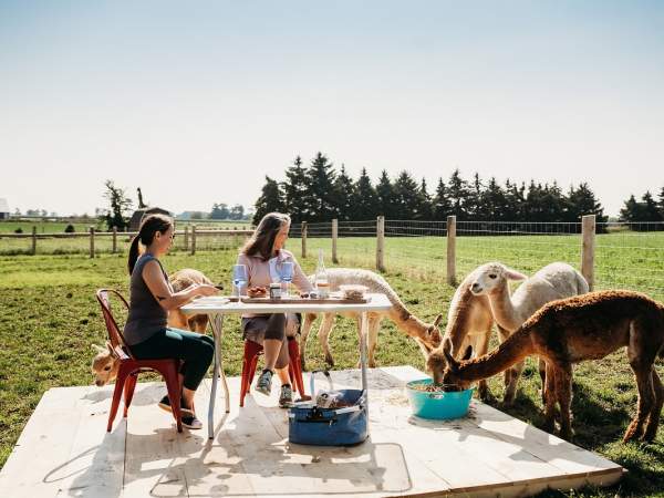 6 Best Ways to Explore the Oxford County Cheese Trail this Fall