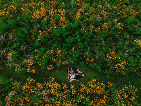 Celebrating Earth Day Year-Round in Oxford County