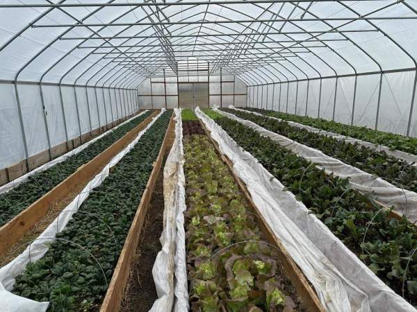 Sustainable Businesses in York County, PA