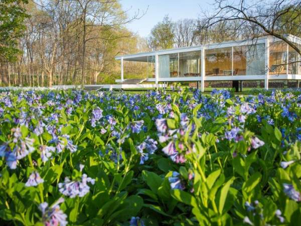 Edith Farnsworth House