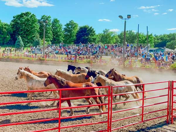 Kendall County Fair