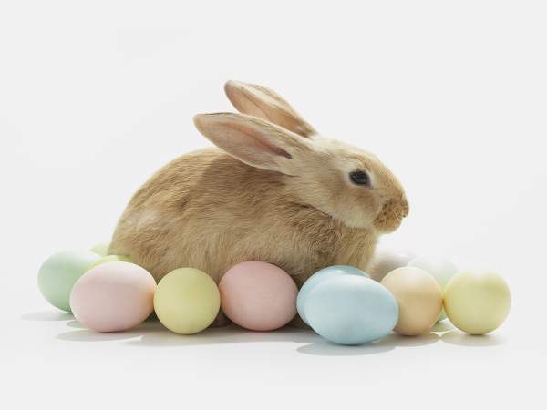 Easter Eggstravaganza