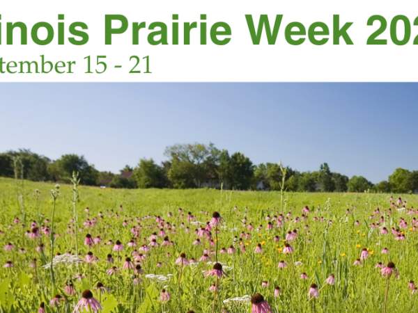 Illinois Prairie Week 2025