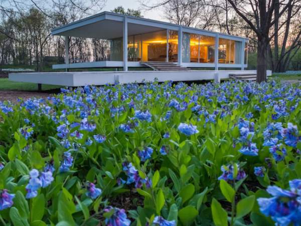 Spring Wildflower Walk